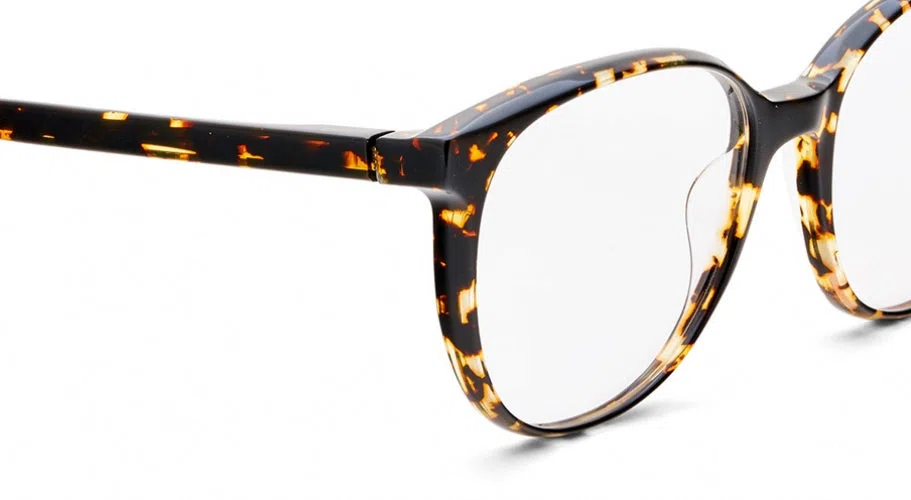 Etnia Barcelona CORAL Eyeglasses - view 13